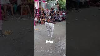 Download lagu Bikin Ngakak. Tuyul Joget mp3