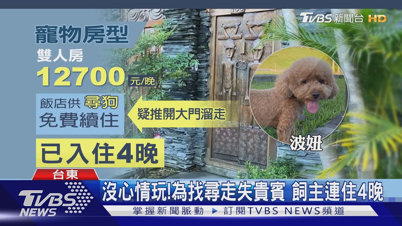 波妞你在哪?飯店幫尋愛犬 供「免費續住」