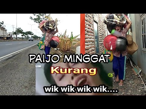 minggat-karena-kurang-wik-wik-wik-komedi-lucu-cenut-nut