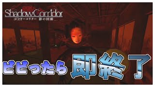 ビビったら即動画終了【影廊】