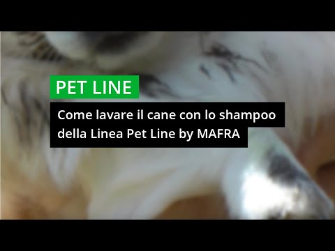 Trattamento di colpo di fortuna di fegato di vermi Come portare tutti i parassiti da un corpo umano