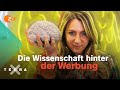Neuromarketing Wie Uns Werbung Manipuliert