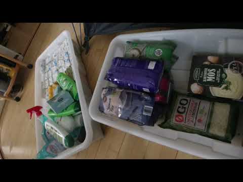 MongoTV_4349 - Del 212 - FORBEREDER MIG PÅ CORONAVIRUS UDBRUD I KØBENHAVN - 1 År Med Nedlukning