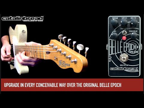 Catalinbread Belle Epoch + 2026 image 6