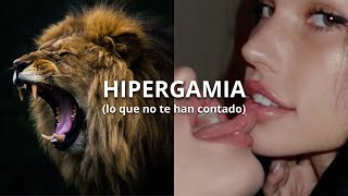 Qué es la HIPERGAMIA y cómo usarla a favor (atracción natural)
