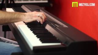Video thumbnail for Yamaha P-255 - Sound Test Review by muzykujkropkacom