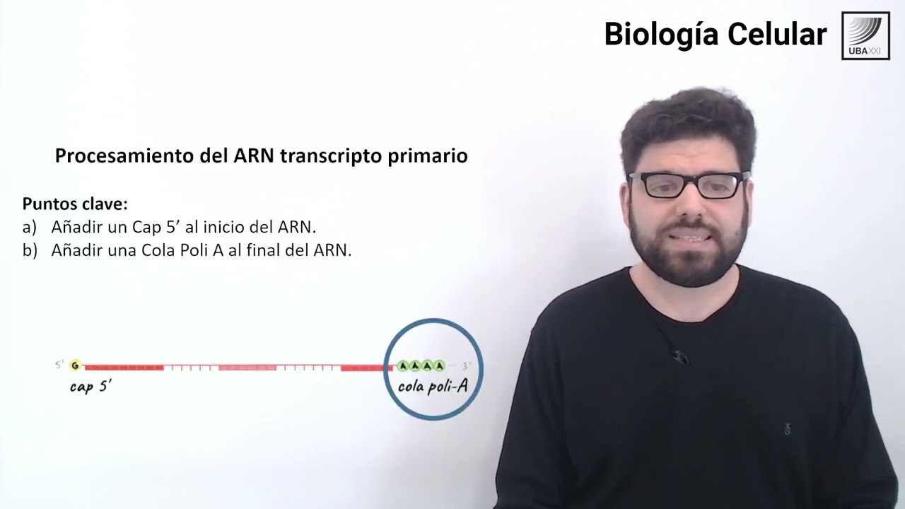 59.  Biología Celular. Procesamiento del ARN