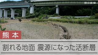【熊本地震】地表に現れた活断層　ひび割れた地面