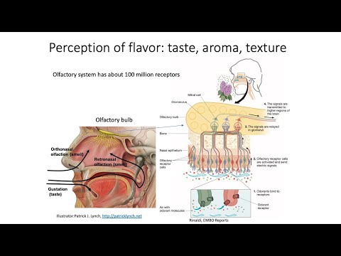 Wine Tasting Part 1: Physiology of taste and smell