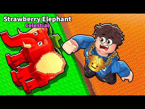 Getting The RAREST THING In Survive Lava For Brainrots..