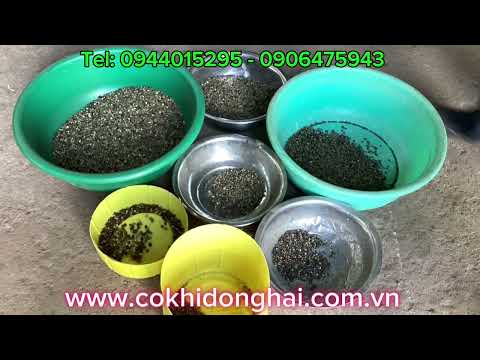 Máy sàng tách đá sạn tạp chất, phân size cà phê nhân cho cty Rabbit Coffee Gia Lai