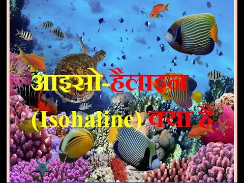 आइसोहैलाइन (Isohaline) क्या है: जानिए आइसोहैलाइन का मानव जीवन में क्या   उपयोगिता है!