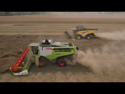 Harvest 2022 - Claas Lexion 770 & New Holland CX8090 - Agro Miroslav