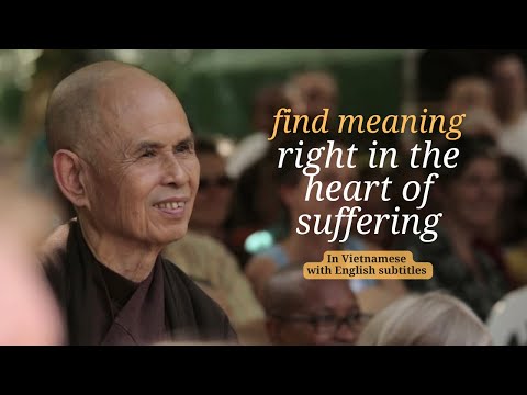 Thich Nhat Hanh teaching about suffering