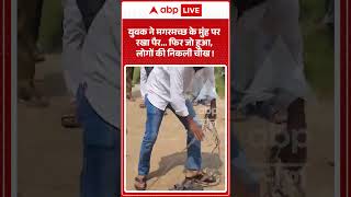 Viral Video : युवक ने मगरमच्छ के मुंह पर रखा पैर... फिर जो हुआ, लोगों 