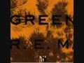 R.E.M. - The Wrong Child