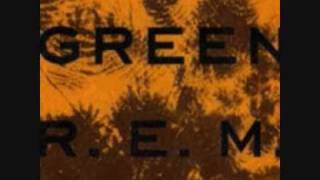 R.E.M. - The Wrong Child