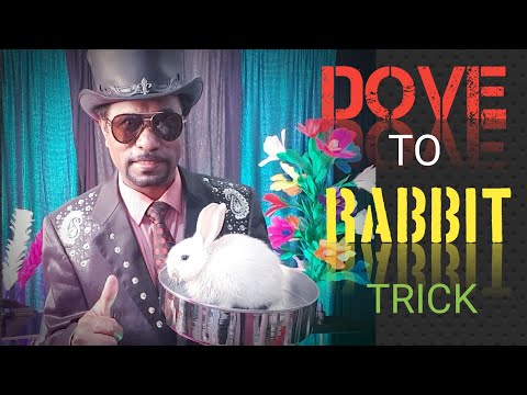 Dove to Rabbit Pan Trick | by Dr.Gugampoo, Kuwait.