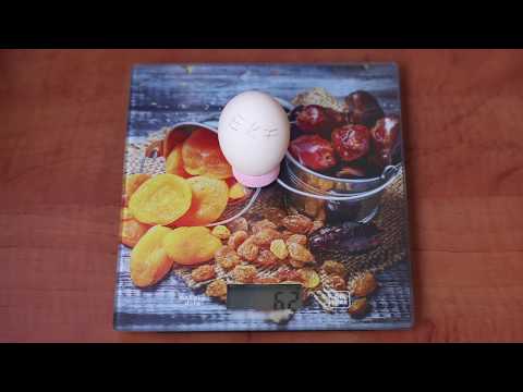 a kimutatott peték féregkezelése