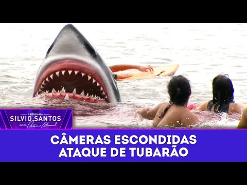 Ataque de Tubarão | Câmeras Escondidas (18/06/25)
