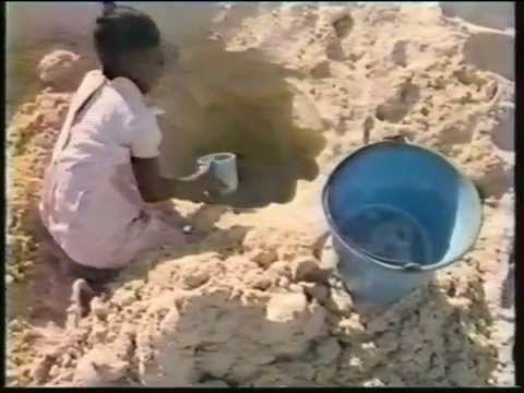 L'équipe COUSTEAU à Madagascar 1995