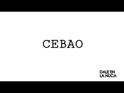 Dale en la Nuca - CEBAO (2018)
