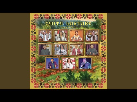 De ce ma gonesti copile