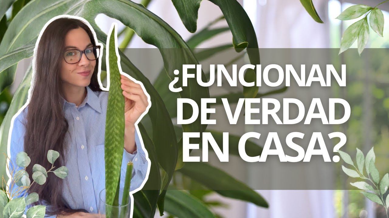 youtube video id=tC6D5PczcY4