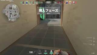 PCオーバーウォッチ２　タンク頑張る　シェル著　DUO