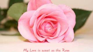 God Shaped Hole - Plumb