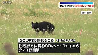 市街地でクマの目撃情報相次ぐ　同一個体かどうか不明　8日も巡回続く　山形県天童市