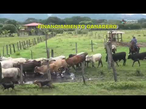 Montas Belén de Carrillo, 26 diciembre 2025