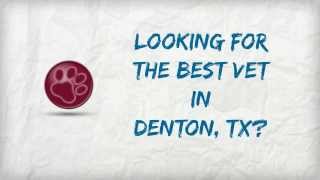 preview picture of video 'Denton Vet | Call (940) 228-1158 to Get The Best Denton Vet'