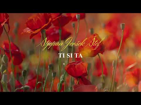 STJEPAN JERŠEK ŠTEF - Ti si ta (OFFICIAL AUDIO)