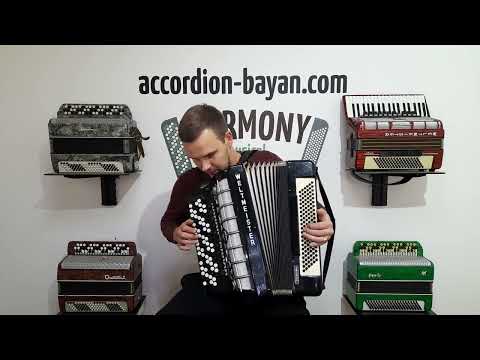Weltmeister Grandina Button Accordion 120 Bass, made in Germany, 5 Row Bayan B Griff, Straps and Case, 2738 image 17