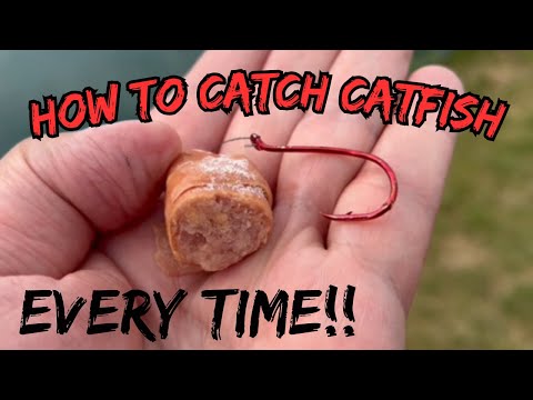 HOW TO Catch Catfish From The Bank - Catfishing Tips & Baits