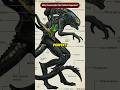 Why Are Xenomorphs The Perfect Organism Shorts Viral