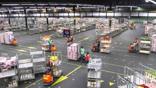 preview picture of video 'FloraHolland Flower Auction, Aalsmeer Netherlands'