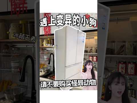 Warning! Mutant Puppies Spotted – Never Buy Odd-Looking Animals! 🐶⚠️ #AnimalWelfare