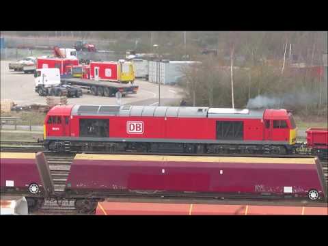 Class 60 Shunting: DB 60074 at Toton, 20/01/19.