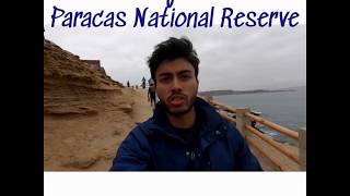 preview picture of video 'Paracas National Reserve | Day 47 | #Project731Days'