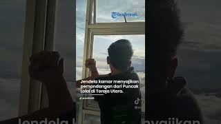VIRAL Kamar Menyajikan Pemandangan Bak Negeri di Atas Awan di Toraja