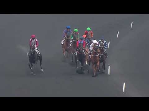 PRIX JAG DE BELLOUET - CORNULIER RACES QUALIF#1 2022 - IDEALE DU CHENE