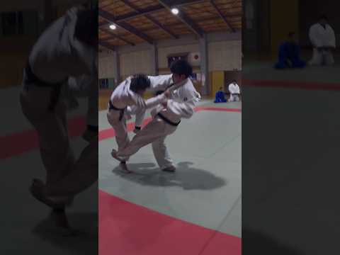 【柔道投技】払釣込足一本。小外刈りフェイントで豪快に決まる！#judo #乱取稽古 #柔のたまり場