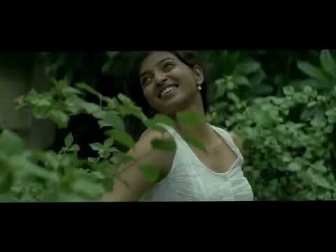 Jao Pakhi bolo Hawa Cholo cholo|| যাও পাখি বলো, হাওয়া ছল ছল 🎶🎵 || #banglasong #bdsong #music #peace