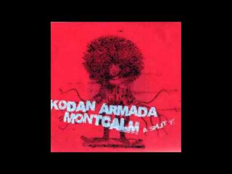 MONTCALM I Stopped Believing in Existence (from the Kodan Armada split)