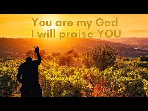 Psalm 118 | Part 2 | Blessed be he, that comes in the name of the Lord