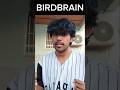 BIRDBRAIN By Jamie Paige Ft Kasane Teto DC By Jaime Paige MV Vocaloid Kasaneteto Teto Miku
