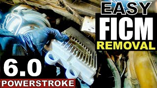 HOW TO REMOVE FICM ON 6.0 POWERSTROKE IN DETAILS in 3 mins.