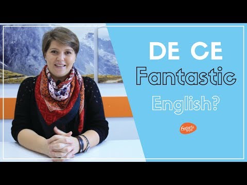 Cum e să lucrezi la Fantastic English School I Viorica Tracenco